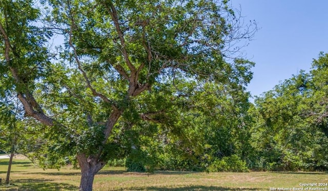 Listing photo 3 for 8 E Hampton Dr, Seguin TX 78155