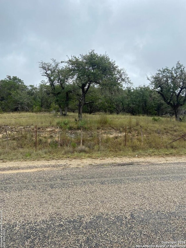 Listing photo 2 for LOT63C Rio Hondo Loop E, Tarpley TX 78883