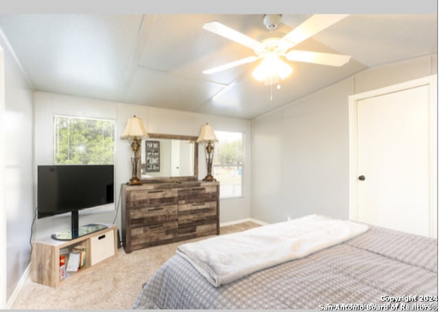 carpeted bedroom with multiple windows and ceiling fan