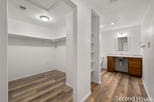 spacious closet featuring dark hardwood / wood-style floors and sink