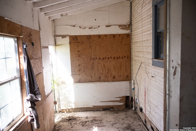 miscellaneous room with vaulted ceiling