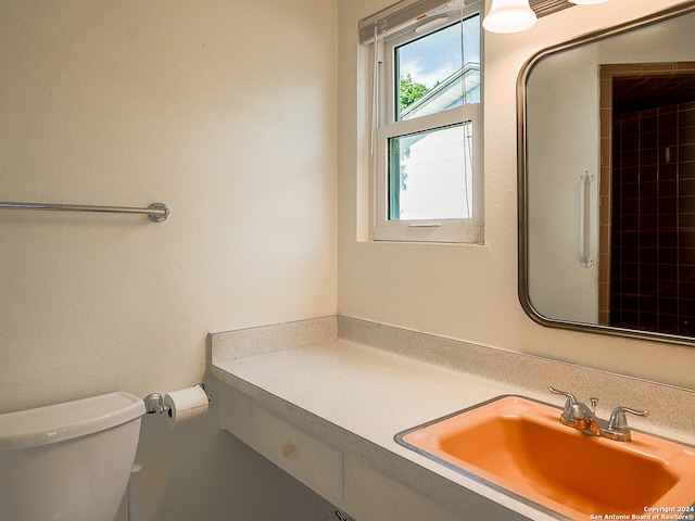 bathroom with toilet and vanity