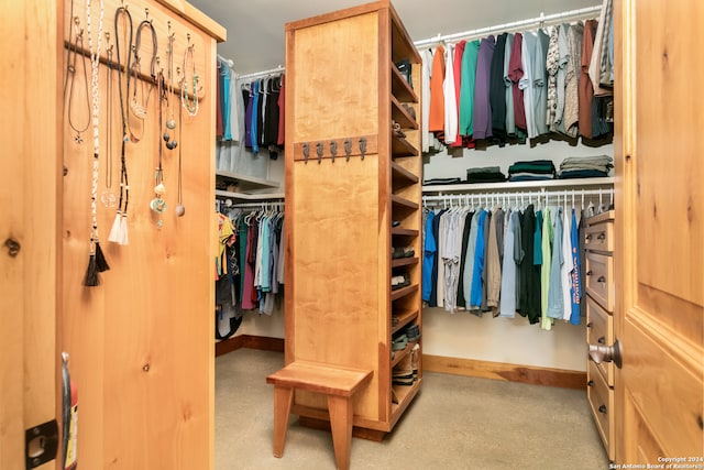 view of spacious closet