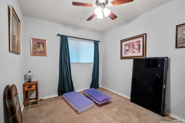 workout area featuring carpet flooring and ceiling fan