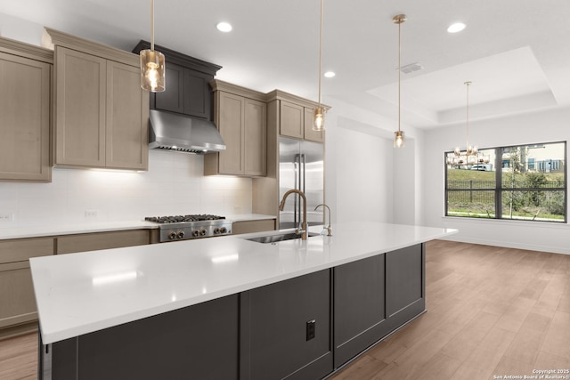 kitchen with backsplash, ventilation hood, a tray ceiling, stainless steel appliances, and a sink