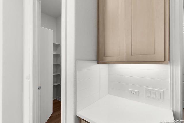 bathroom with tasteful backsplash and wood finished floors