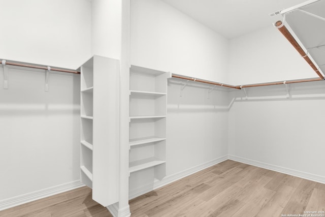 walk in closet featuring wood finished floors