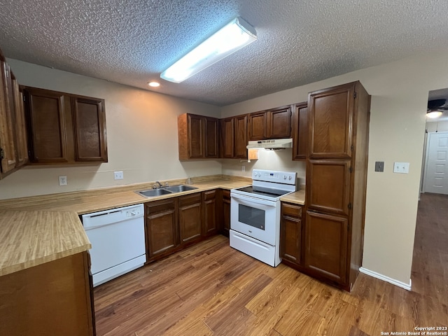 kitchen with light hardwood / wood-style flooring, white appliances, sink, dark brown cabinets, and a textured ceiling