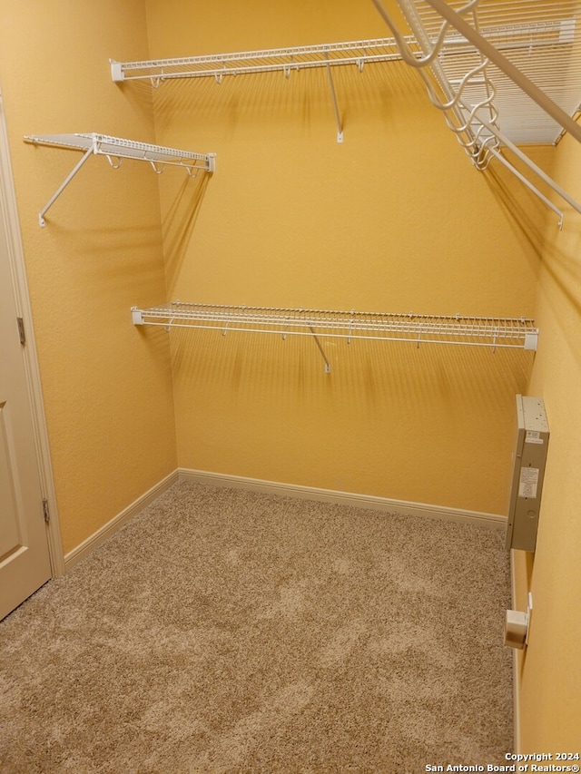 walk in closet featuring carpet floors