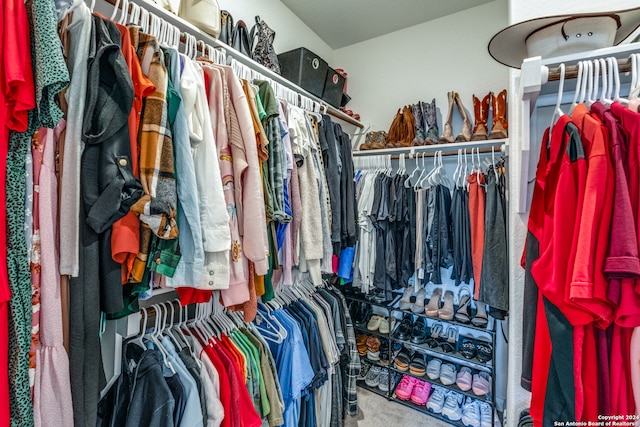 spacious closet featuring carpet