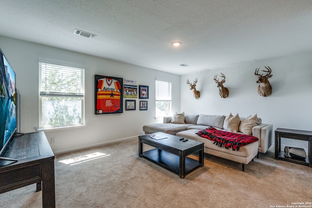 carpeted living room featuring a wealth of natural light and a textured ceiling