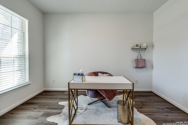 office area featuring wood-type flooring