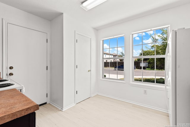 interior space with light wood-type flooring