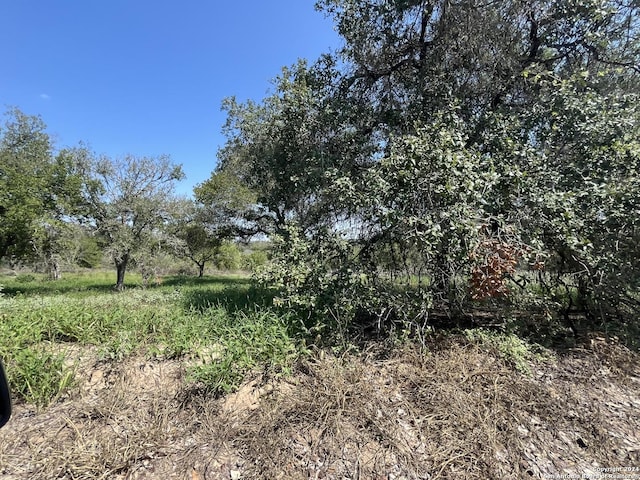 Listing photo 2 for 497 County Road 124, Floresville TX 78114