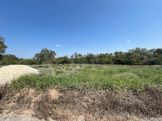 Listing photo 3 for 497 County Road 124, Floresville TX 78114