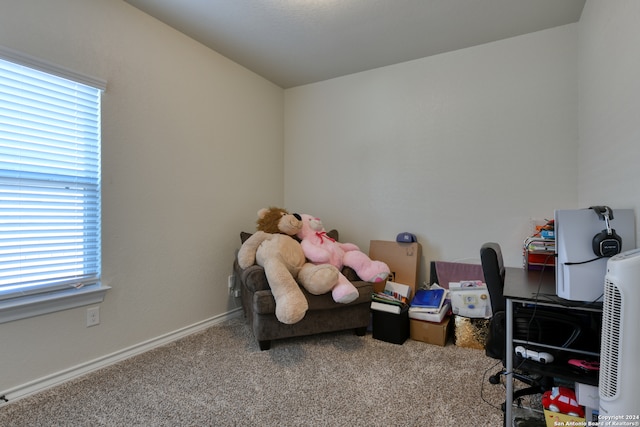 interior space with carpet floors