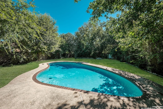 view of swimming pool with a yard