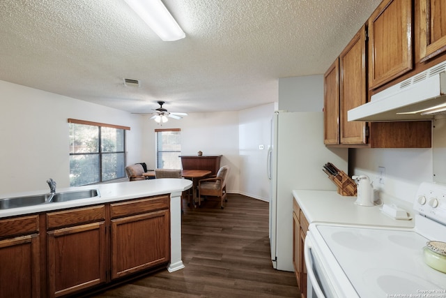 kitchen with a textured ceiling, dark hardwood / wood-style floors, ceiling fan, sink, and white range with electric stovetop