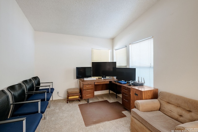 office featuring light colored carpet and a textured ceiling