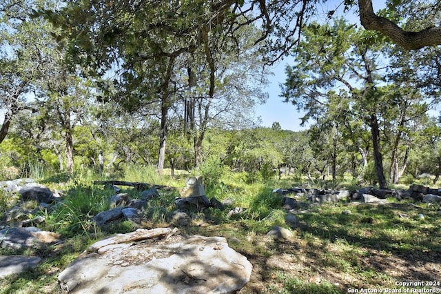 view of landscape featuring a wooded view
