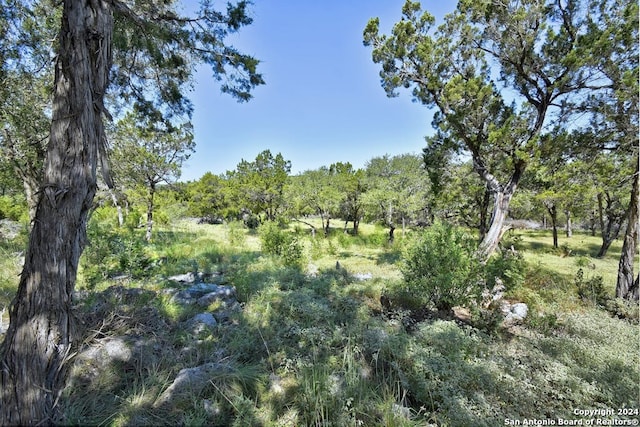 view of nature featuring a forest view