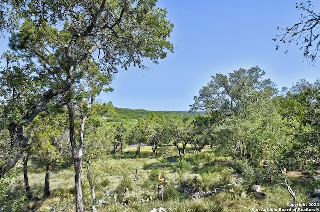 view of nature with a view of trees