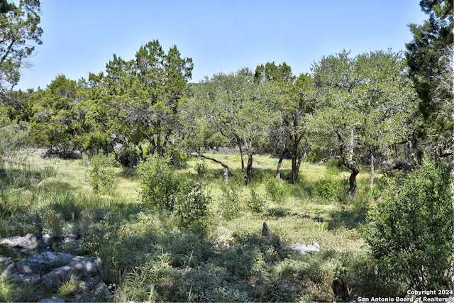 view of local wilderness with a forest view