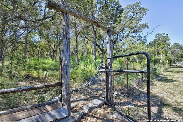 view of yard with a gate