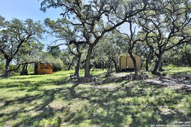 view of yard featuring a shed and an outdoor structure