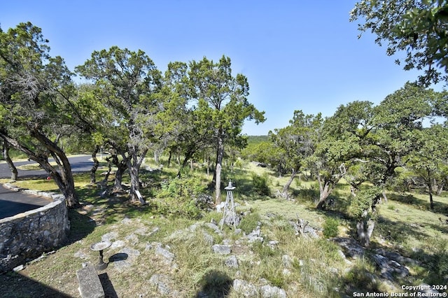 view of landscape