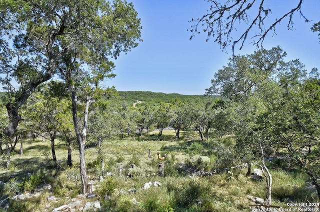 view of landscape