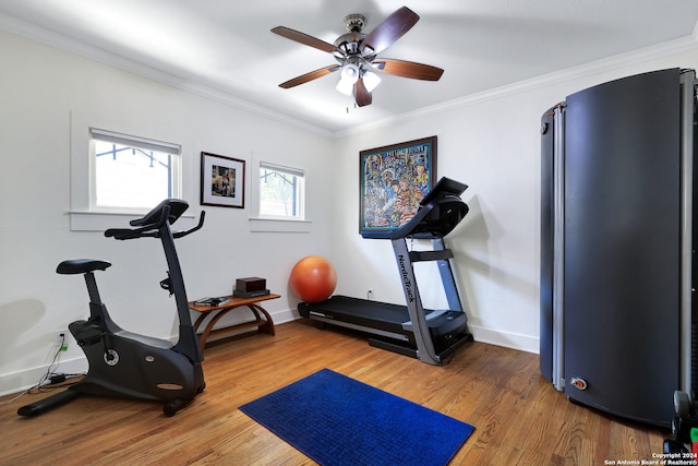 workout area featuring hardwood / wood-style floors, ceiling fan, and ornamental molding