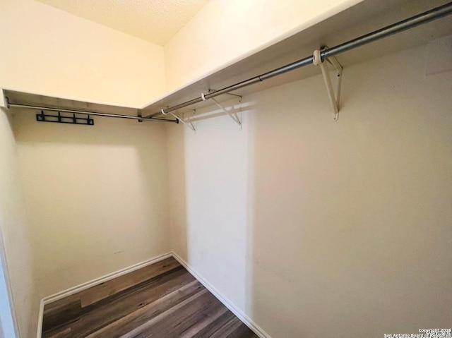 spacious closet featuring dark wood finished floors