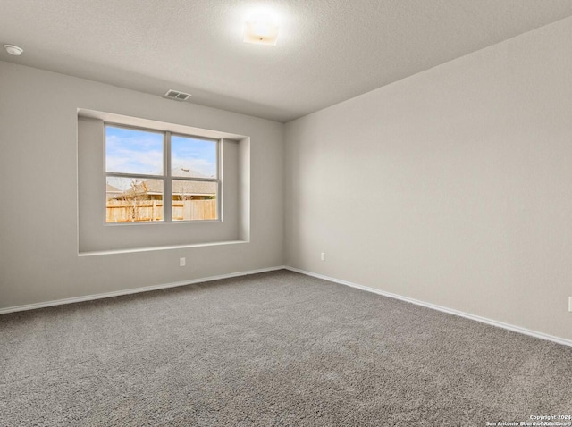 empty room with carpet flooring and a textured ceiling