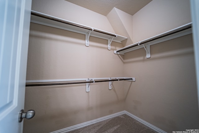 spacious closet featuring carpet flooring