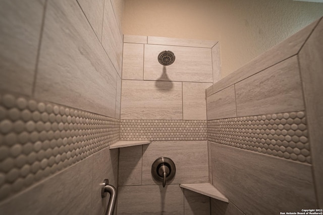details featuring tiled shower