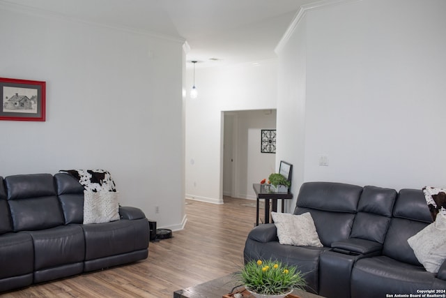 living room featuring hardwood / wood-style flooring and ornamental molding