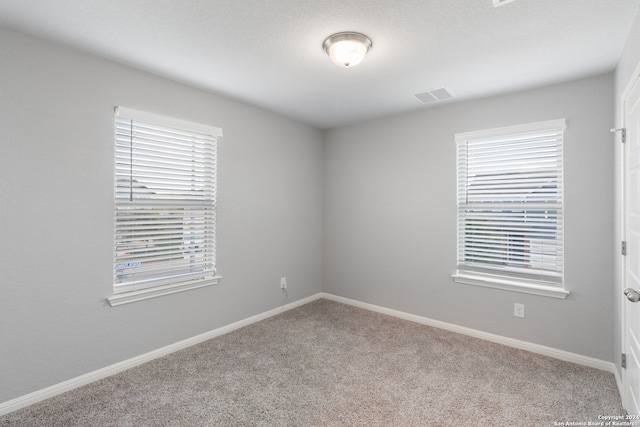 carpeted empty room with a healthy amount of sunlight