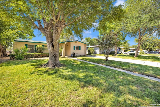 ranch-style house with a front yard