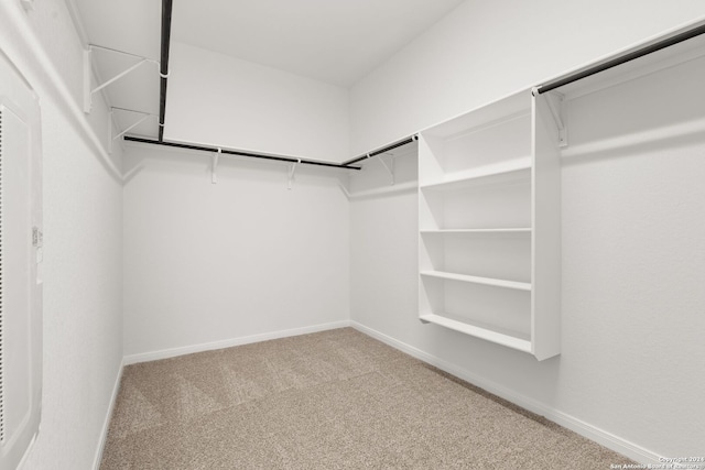 walk in closet with light colored carpet