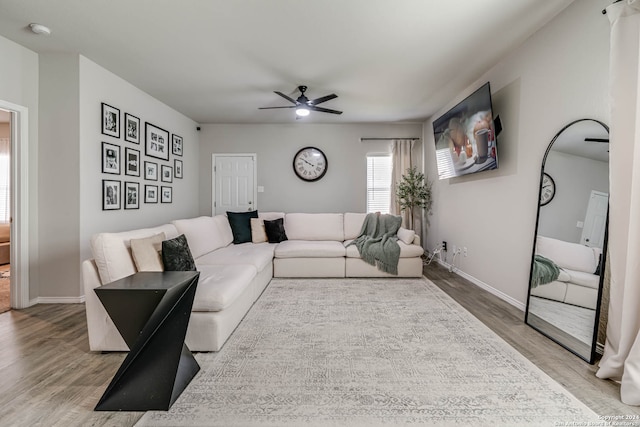 living room featuring ceiling fan and light hardwood / wood-style floors