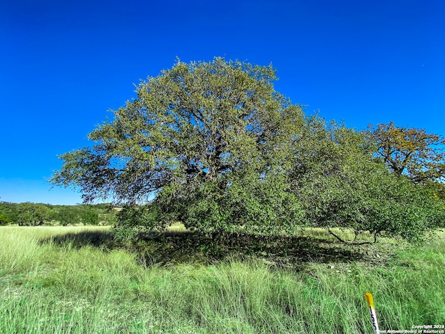 Listing photo 3 for LOT155 Loma Vista Rnch, Kerrville TX 78028