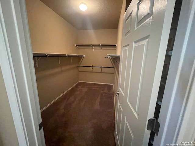 walk in closet featuring dark carpet