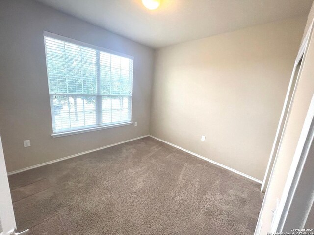 carpeted empty room with a wealth of natural light