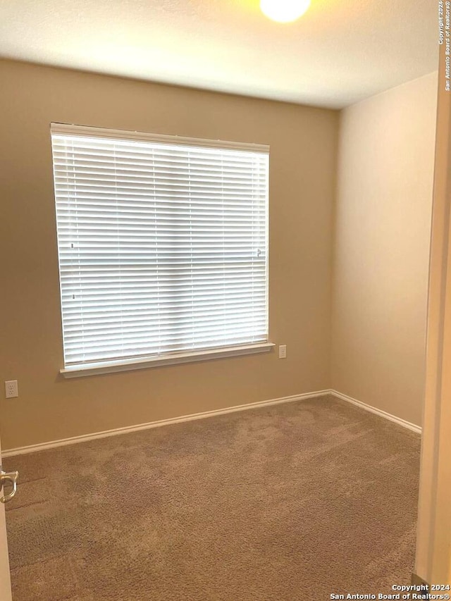 empty room featuring plenty of natural light and carpet flooring