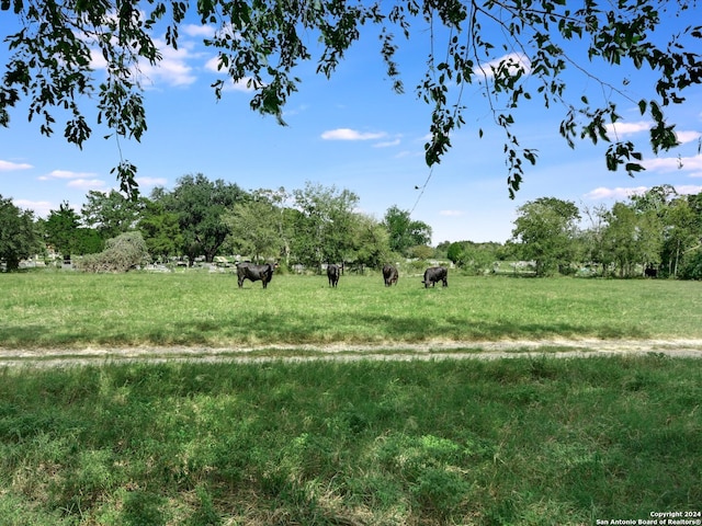 view of landscape featuring a rural view