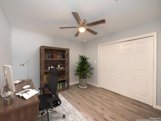 office featuring ceiling fan and light wood-type flooring