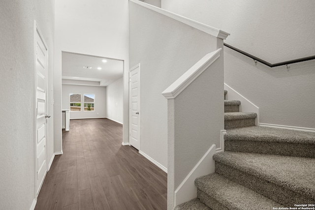 staircase featuring wood-type flooring