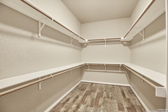 walk in closet featuring wood finished floors
