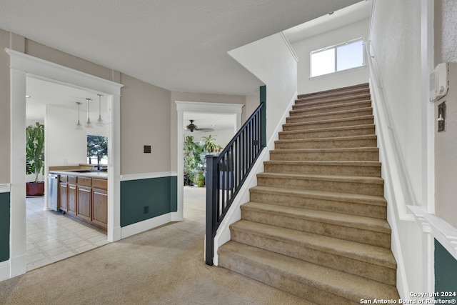 stairway featuring carpet floors, sink, and ceiling fan